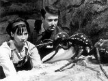 Susan and Ian with a Giant Ant