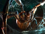The Spider