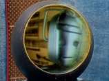 A Cyberman Inside the Miniscope