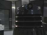 A Dalek Survives
